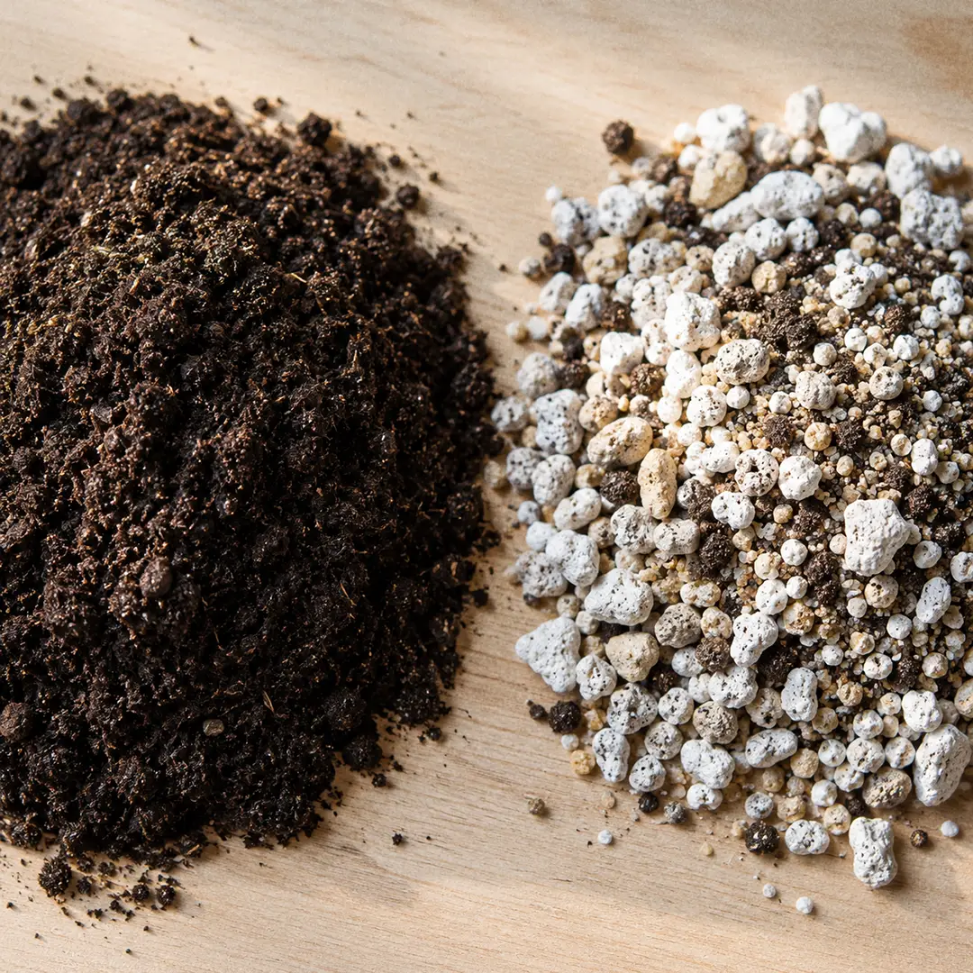 A close-up comparison of dense dark potting soil beside a gritty succulent mix full of pumice and perlite.