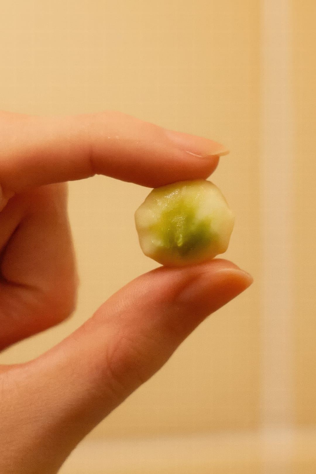 A hand holding several small, healthy Alocasia Frydek corms ready for propagation