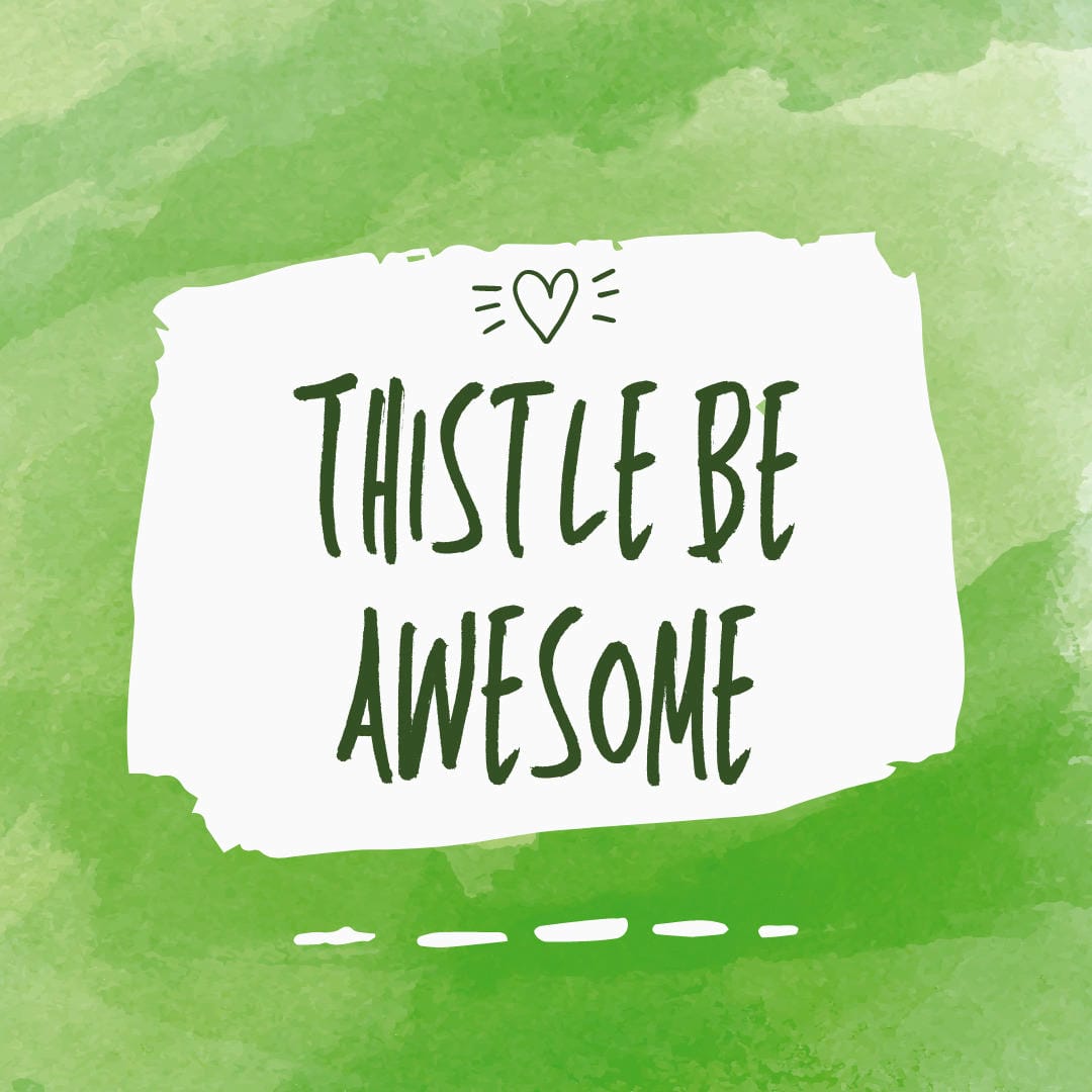 Nephrolepis exaltata ‘Boston Marathon’ with exceptionally long, trailing fronds.