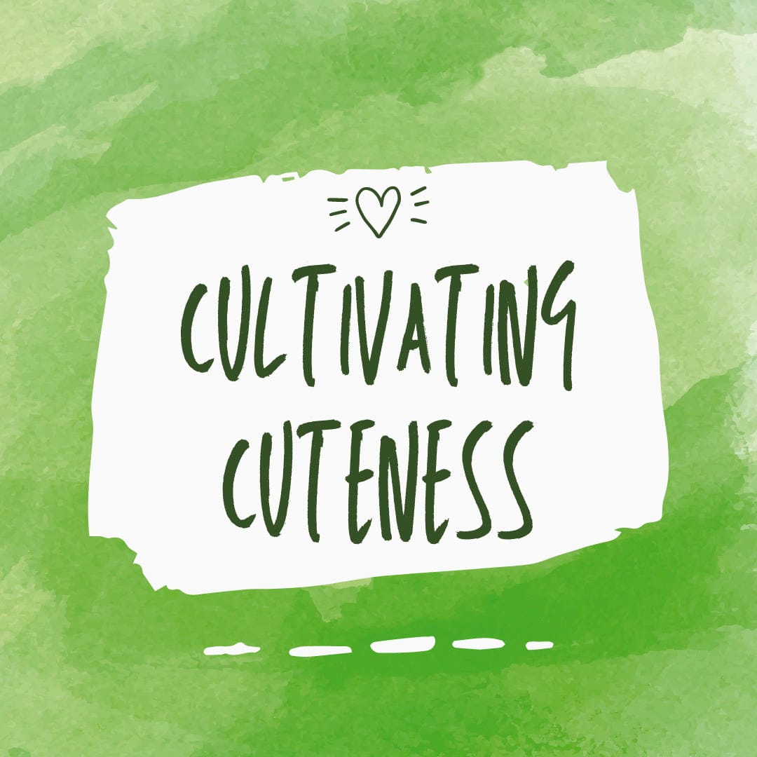 Nephrolepis exaltata ‘Duffii’, also known as Duff's Fern, with its characteristic small, round leaflets on erect fronds.