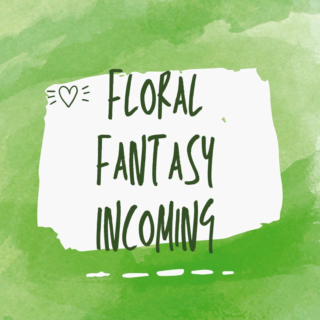 Nephrolepis exaltata ‘Elzevir’ with its elegantly arching fronds and fine texture.