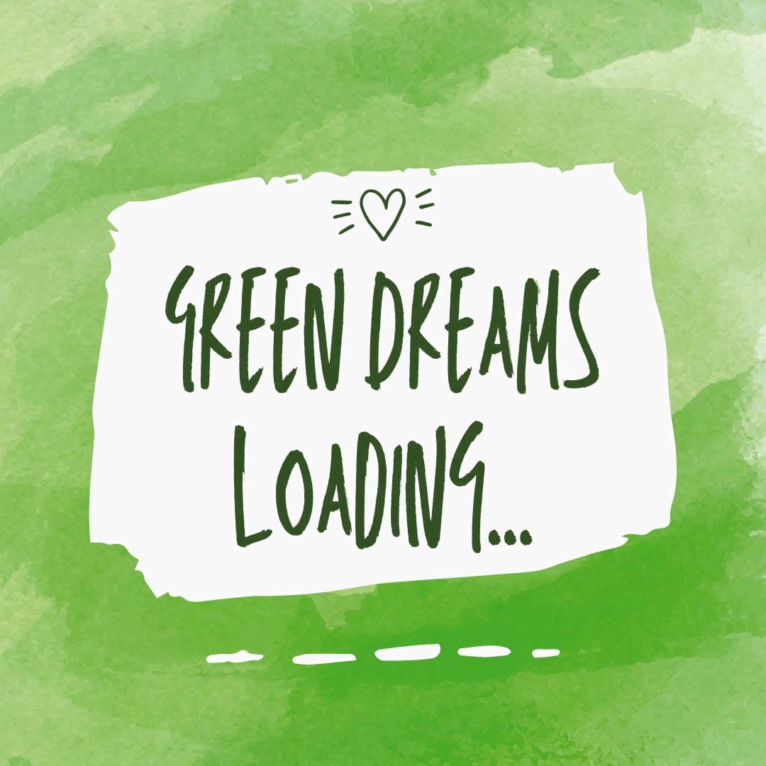 Nephrolepis exaltata ‘Gloriosa’ displaying its gracefully weeping, finely divided fronds.