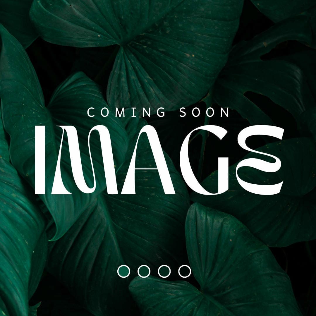 Nephrolepis exaltata ‘Hawaiiensis’ with lush, tropical-looking fronds.