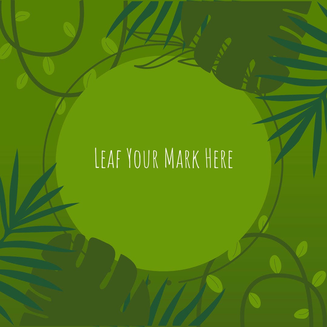 Nephrolepis exaltata ‘Rita’s Gold’ with its vibrant golden-chartreuse, compact fronds.