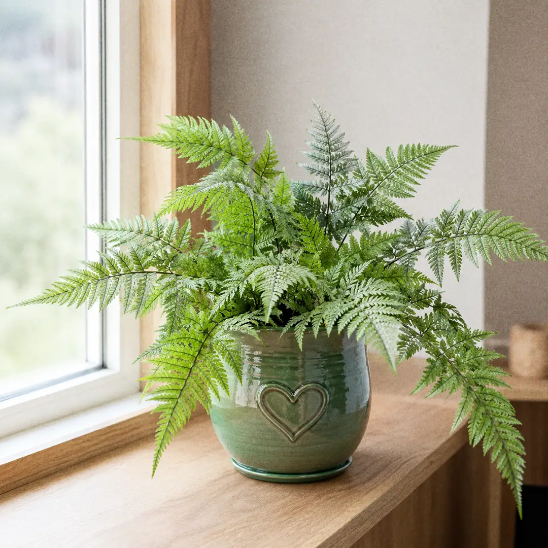 Complete Guide to Korean Rock Fern Care and Growth
