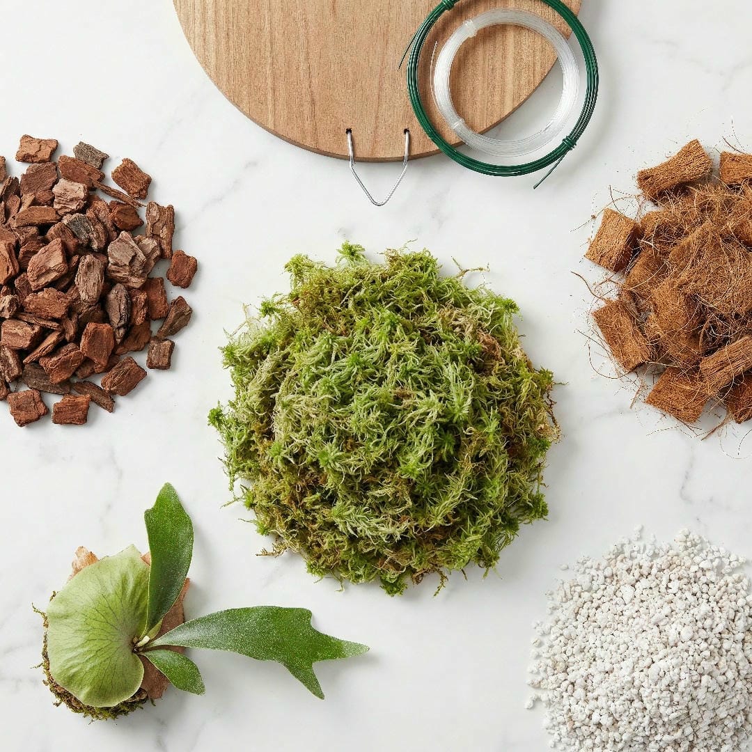 Flat-lay of Staghorn Fern mounting materials: sphagnum moss, orchid bark, coconut coir, and perlite