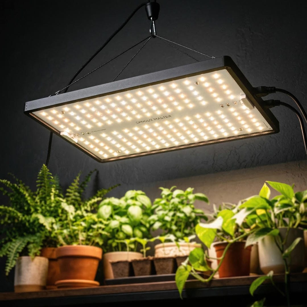 A close-up of a modern full-spectrum white LED grow light panel emitting a warm white glow, with blurred green plants beneath it.